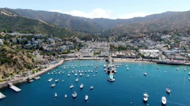ABD 'nin Santa Catalina Adası' ndaki Avalon limanının havadan görüntüsü