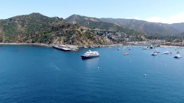 Flygfoto över Avalon hamn och Catalina Express Terminal i Santa Catalina Island, USA — Stockvideo