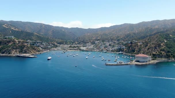 Vista aérea do porto de Avalon na ilha de Santa Catalina, EUA — Vídeo de Stock