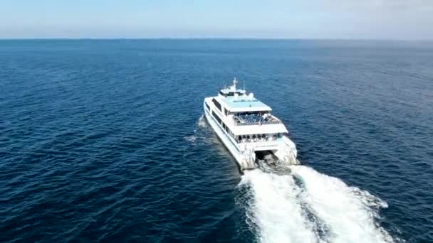 Luftfoto af Catalina Express speedbåd ved siden af Santa Catalina Island, USA – Stock-video