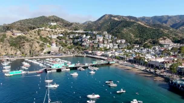 Letecký pohled na Avalon Downtown a přístav na ostrově Santa Catalina, USA — Stock video