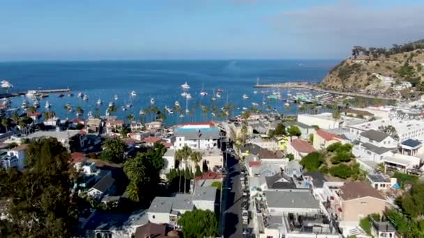 Vista aérea del centro y puerto de Avalon en la isla de Santa Catalina, Estados Unidos — Vídeo de stock