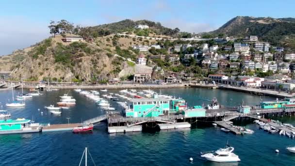 Flygfoto över Avalon Downtown piren i Santa Catalina Island, USA — Stockvideo