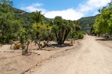 Santa Catalina Adası 'ndaki Wrigley Memorial ve Botanik Bahçesi