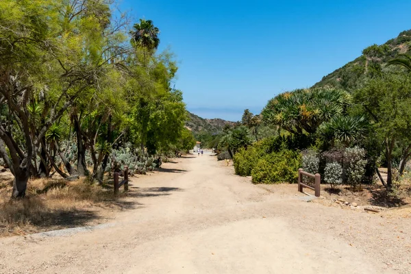 Wrigley Memorial en Botanische Tuin op Santa Catalina Island — Stockfoto