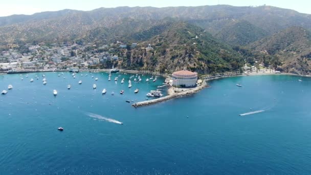 Widok z lotu ptaka na zatokę Catalina i port Avalon z żaglami. — Wideo stockowe