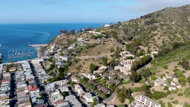 Avalon 'un şehir merkezindeki havadan görünüşü ve Santa Catalina Adası, ABD' deki uçurumlardaki evleri. — Stok video