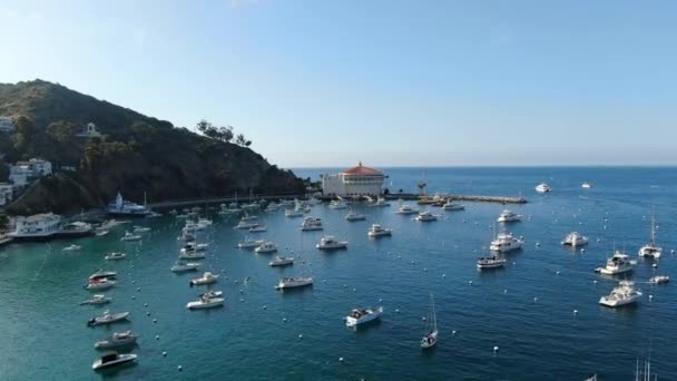 Letecký pohled na Avalon Downtown a přístav na ostrově Santa Catalina, USA — Stock video