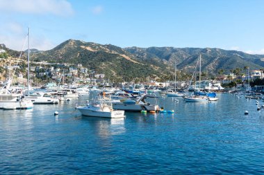 ABD 'nin Santa Catalina Adası' ndaki Avalon Körfezi 'nin havadan görüntüsü