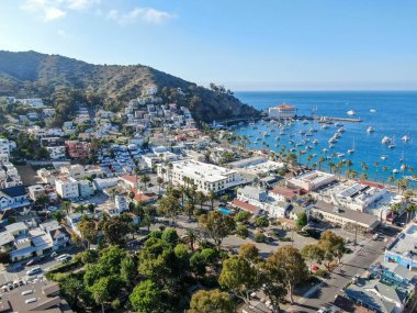 ABD 'nin Santa Catalina Adası' ndaki Avalon şehir ve körfezinin havadan görüntüsü