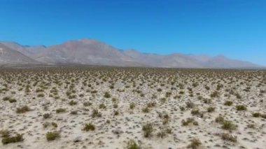 Kaliforniya Mojave Çölü 'nde, Ridgecrest yakınlarında mavi gökyüzünün altındaki çöl manzarası.. 