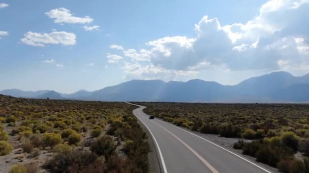 Luchtfoto van asfaltweg in het midden van stoffig droog woestijnland in Lee Vining — Stockvideo