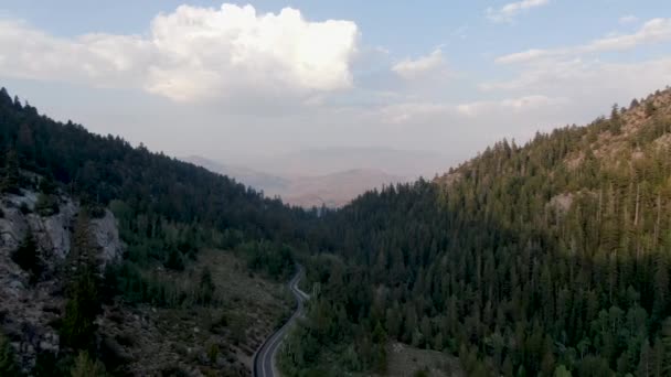 Road in the mountains in Stanislaus National Forest, Kalifornia, Amerikai Egyesült Államok. — Stock videók