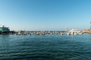 Santa Catalina Adası 'nda küçük teknesi olan Avalon Körfezi, ABD