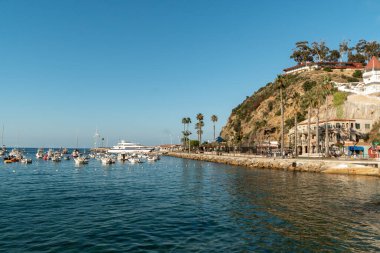 Santa Catalina Adası 'nda küçük teknesi olan Avalon Körfezi, ABD
