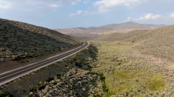 Vista aérea da estrada cênica no meio do vale verde do deserto no condado de Mono — Vídeo de Stock