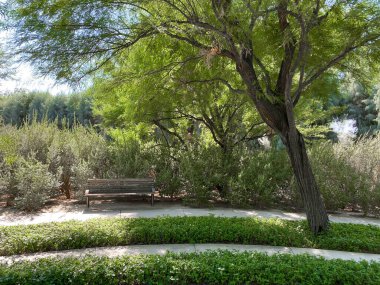 Rancho Mirage 'daki Sunnylands Merkezi ve Bahçesi.