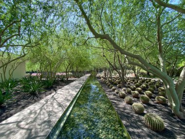 Rancho Mirage 'daki Sunnylands Merkezi ve Bahçesi.