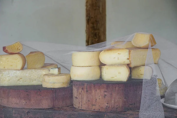 Variety of traditional cheese in a cheese farm store — Stock Photo, Image
