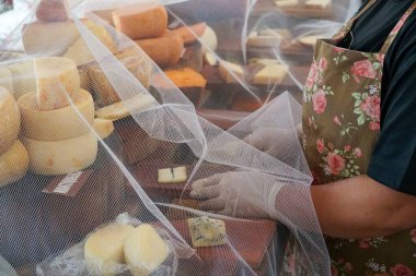 Peynir dükkanında geleneksel peynir çeşitleri sunan tedarikçi