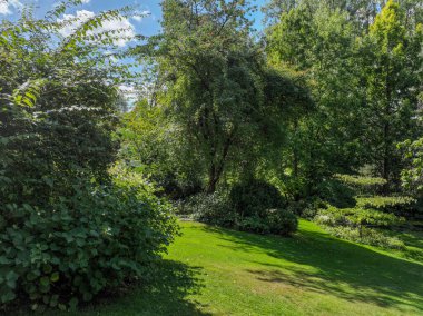 İngiliz yeşil bahçesi güneşli yaz mevsiminde birden fazla ağaç ve bitki çeşidi
