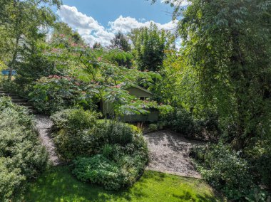 İngiliz yeşil bahçesi güneşli yaz mevsiminde birden fazla ağaç ve bitki çeşidi