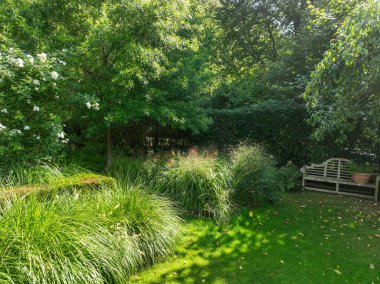 İngiliz yeşil bahçesi güneşli yaz mevsiminde birden fazla ağaç ve bitki çeşidi