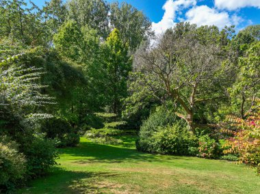 İngiliz yeşil bahçesi güneşli yaz mevsiminde birden fazla ağaç ve bitki çeşidi