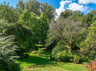 İngiliz yeşil bahçesi güneşli yaz mevsiminde birden fazla ağaç ve bitki çeşidi