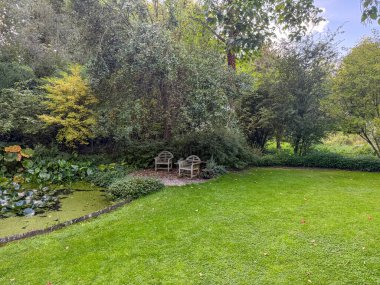 İngiliz yeşil bahçesi güneşli yaz mevsiminde birden fazla ağaç ve bitki çeşidi