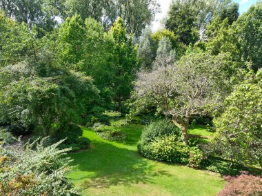 İngiliz yeşil bahçesi güneşli yaz mevsiminde birden fazla ağaç ve bitki çeşidi