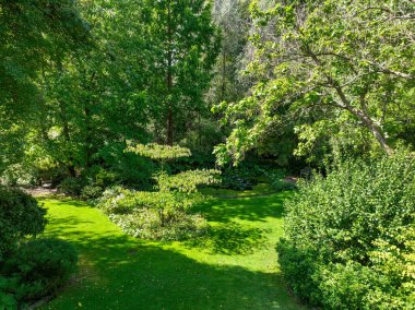İngiliz yeşil bahçesi güneşli yaz mevsiminde birden fazla ağaç ve bitki çeşidi