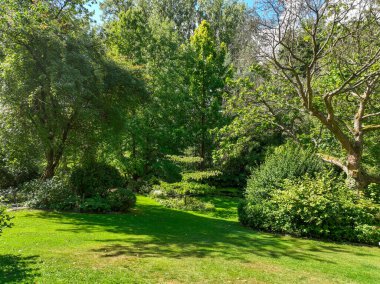 İngiliz yeşil bahçesi güneşli yaz mevsiminde birden fazla ağaç ve bitki çeşidi