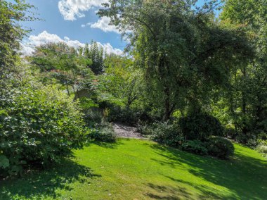 İngiliz yeşil bahçesi güneşli yaz mevsiminde birden fazla ağaç ve bitki çeşidi