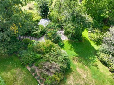 İngiliz yeşil bahçesi güneşli yaz mevsiminde birden fazla ağaç ve bitki çeşidi