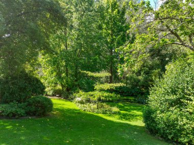 İngiliz yeşil bahçesi güneşli yaz mevsiminde birden fazla ağaç ve bitki çeşidi