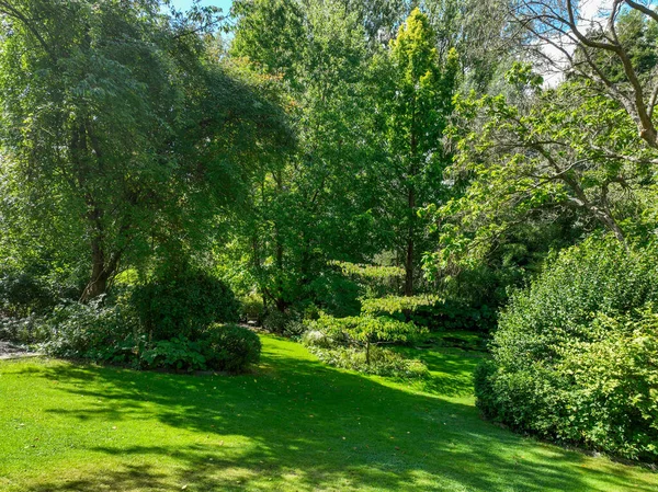 İngiliz yeşil bahçesi güneşli yaz mevsiminde birden fazla ağaç ve bitki çeşidi
