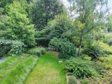 İngiliz yeşil bahçesi güneşli yaz mevsiminde birden fazla ağaç ve bitki çeşidi