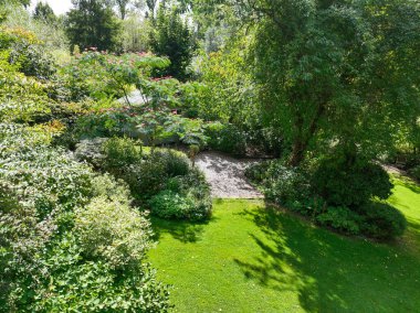 İngiliz yeşil bahçesi güneşli yaz mevsiminde birden fazla ağaç ve bitki çeşidi