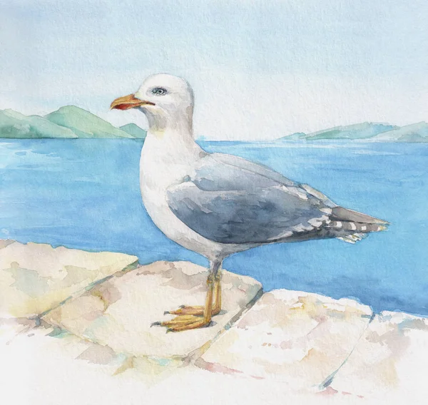 Mouette Aquarelle Sur Fond Bleu Mer — Photo