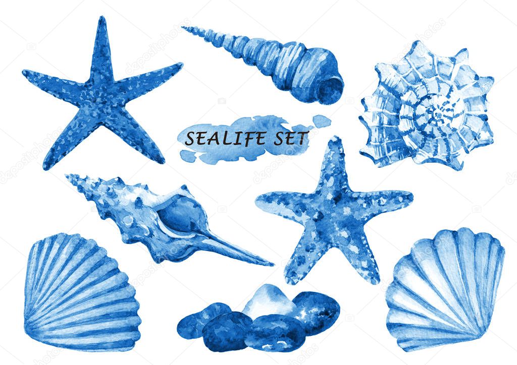 Watercolor sealife set with seashells, starfish and stones. Hand drawn illustration isolated on white background.