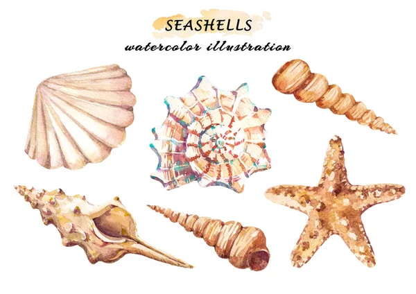 Conjunto Aquarela Objetos Vida Subaquáticos Várias Conchas Marítimas Tropicais Estrelas — Fotografia de Stock