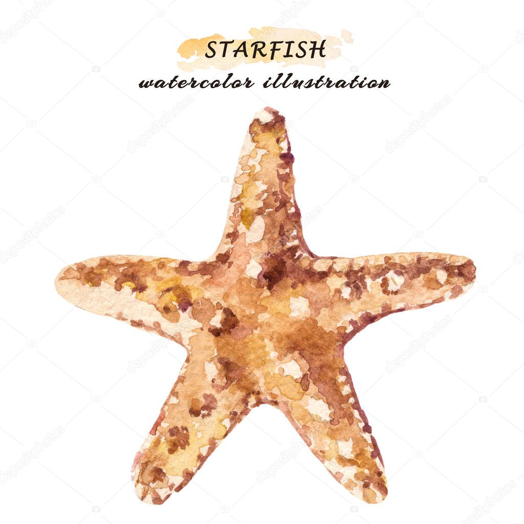 Watercolor illustration of starfish isolated on white background.