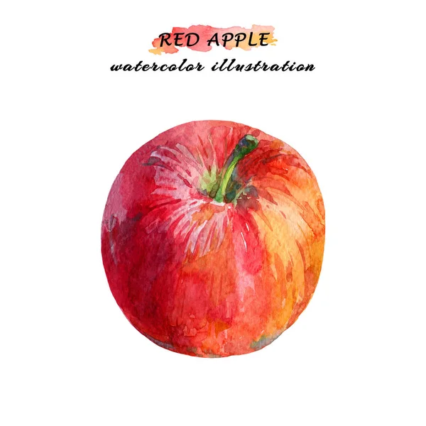 白い背景に分離された水彩画のカラフルな赤いリンゴ — ストック写真