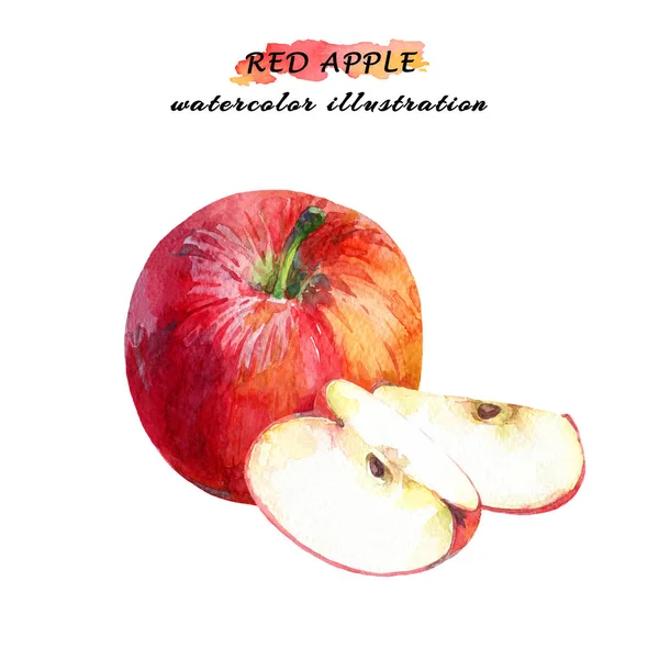 Ripe Red Apple Two Slices Isolated White Background Watercolor Hand — Stock Photo, Image