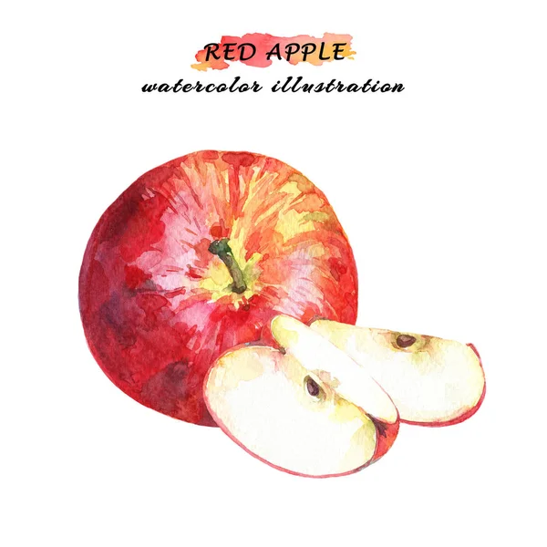 Ripe Red Apple Two Slices Isolated White Background Watercolor Hand — Stock Photo, Image
