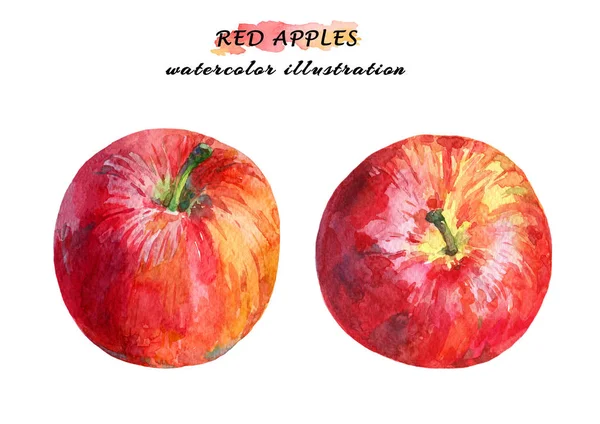 Ensemble Aquarelle Pommes Rouges Colorées Isolées Sur Fond Blanc — Photo