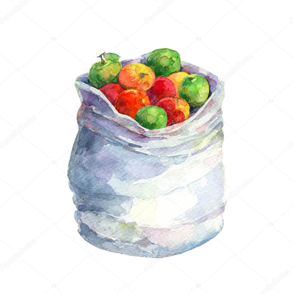 Watercolor illustration of cloth sack with green, yellow and red apples.