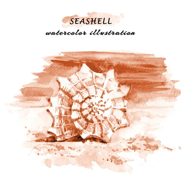 手はワンピー スカラー ビーチで貝殻の水彩イラストを描画します 白い背景に分離 — ストック写真