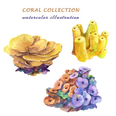 Suluboya mercan - montipora, deniz anemon ve sarı tüp sünger. Elle çizilmiş illüstrasyon.